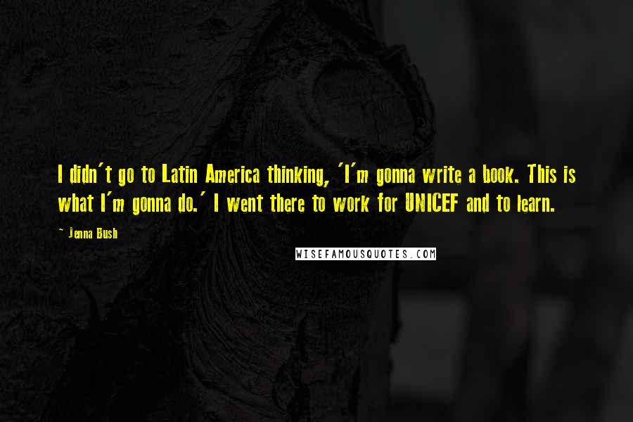 Jenna Bush Quotes: I didn't go to Latin America thinking, 'I'm gonna write a book. This is what I'm gonna do.' I went there to work for UNICEF and to learn.