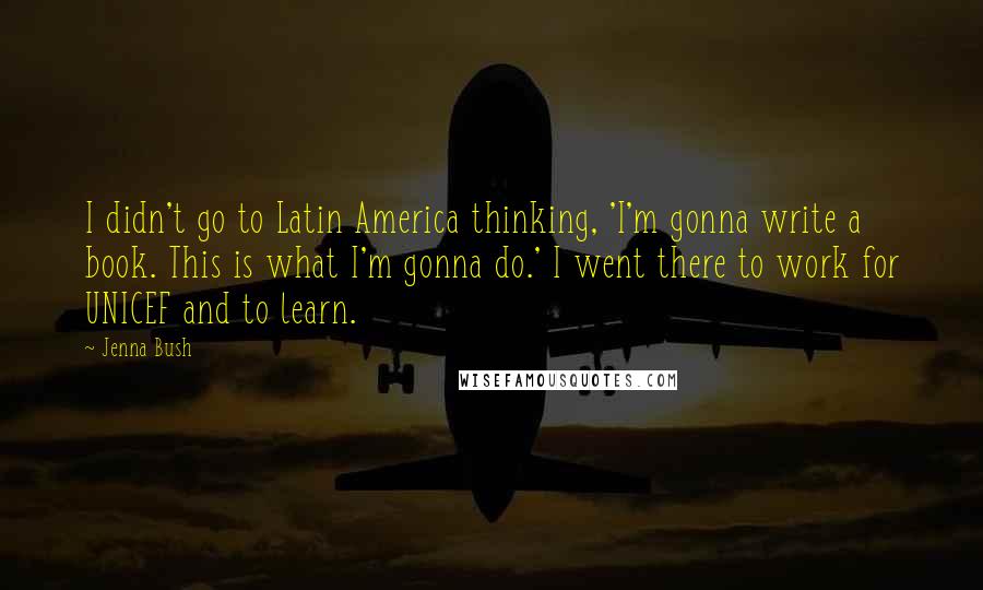Jenna Bush Quotes: I didn't go to Latin America thinking, 'I'm gonna write a book. This is what I'm gonna do.' I went there to work for UNICEF and to learn.