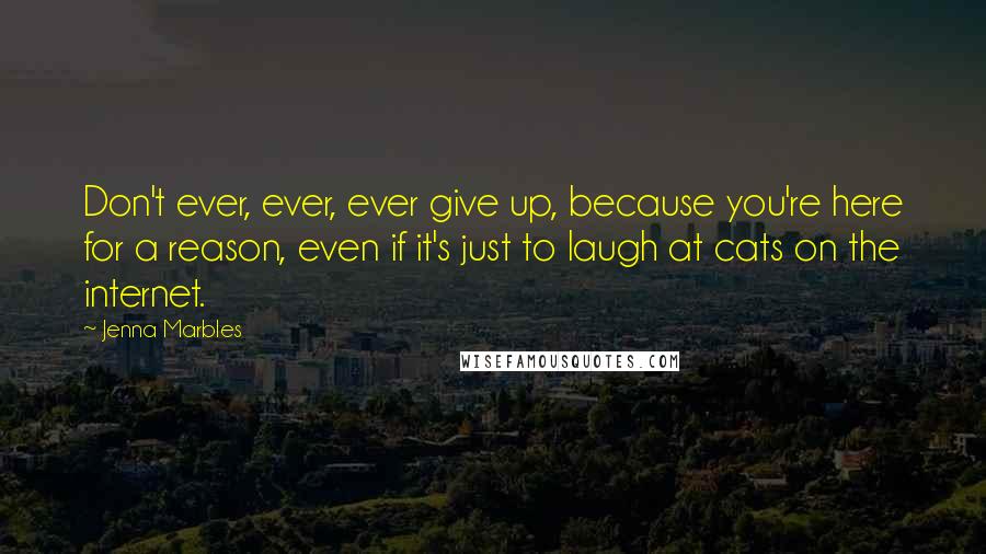 Jenna Marbles Quotes: Don't ever, ever, ever give up, because you're here for a reason, even if it's just to laugh at cats on the internet.