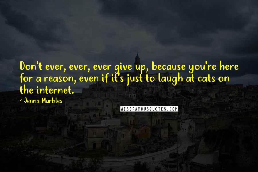 Jenna Marbles Quotes: Don't ever, ever, ever give up, because you're here for a reason, even if it's just to laugh at cats on the internet.