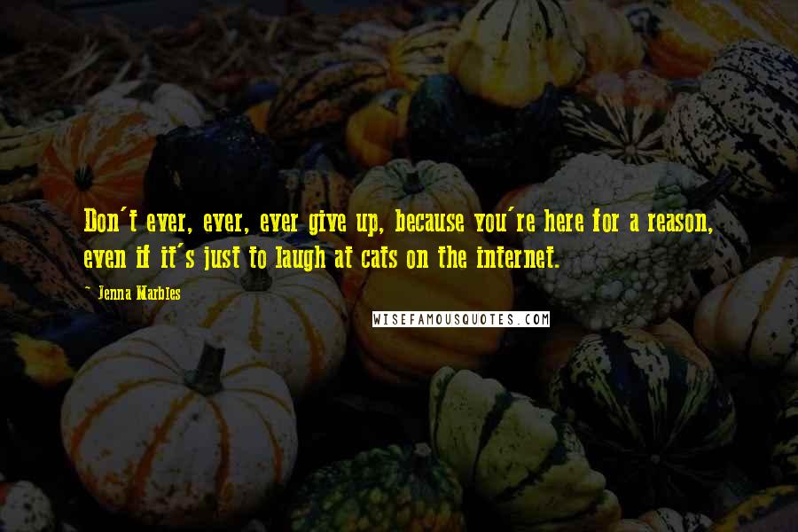 Jenna Marbles Quotes: Don't ever, ever, ever give up, because you're here for a reason, even if it's just to laugh at cats on the internet.