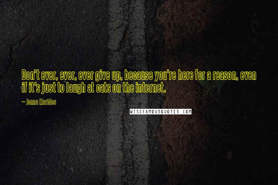 Jenna Marbles Quotes: Don't ever, ever, ever give up, because you're here for a reason, even if it's just to laugh at cats on the internet.