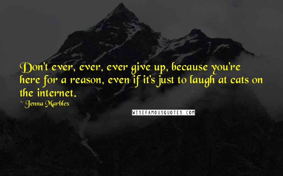 Jenna Marbles Quotes: Don't ever, ever, ever give up, because you're here for a reason, even if it's just to laugh at cats on the internet.