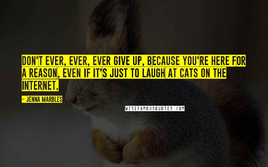 Jenna Marbles Quotes: Don't ever, ever, ever give up, because you're here for a reason, even if it's just to laugh at cats on the internet.