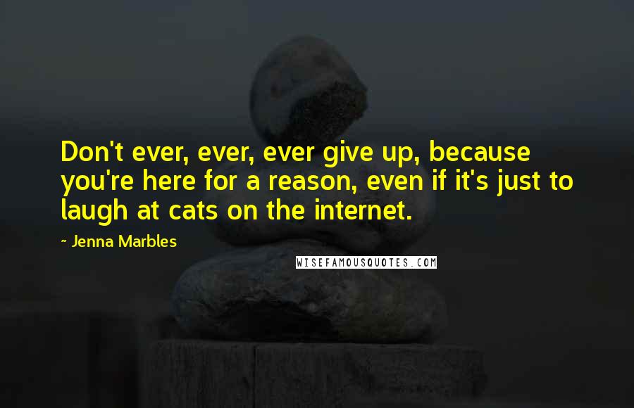 Jenna Marbles Quotes: Don't ever, ever, ever give up, because you're here for a reason, even if it's just to laugh at cats on the internet.