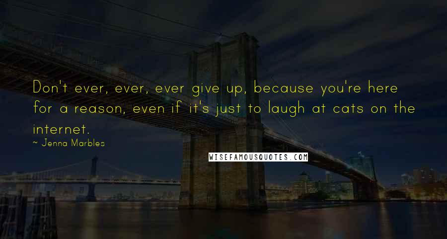 Jenna Marbles Quotes: Don't ever, ever, ever give up, because you're here for a reason, even if it's just to laugh at cats on the internet.