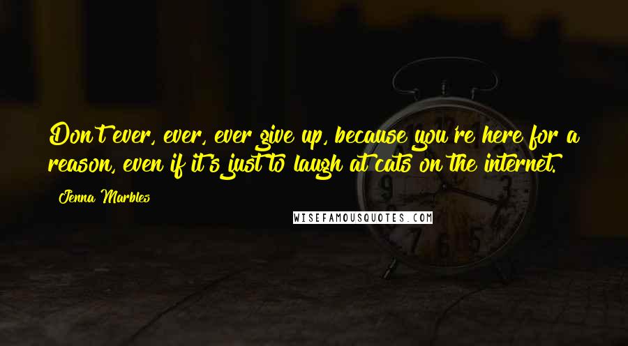 Jenna Marbles Quotes: Don't ever, ever, ever give up, because you're here for a reason, even if it's just to laugh at cats on the internet.