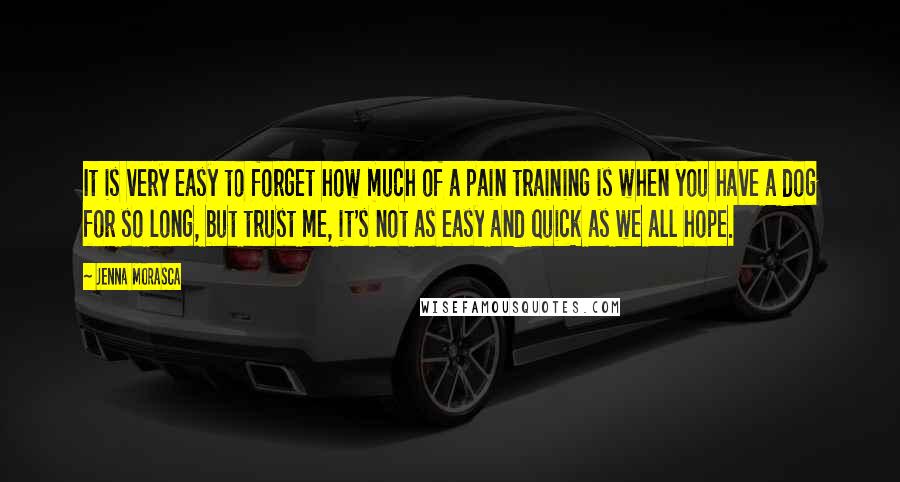 Jenna Morasca Quotes: It is very easy to forget how much of a pain training is when you have a dog for so long, but trust me, it's not as easy and quick as we all hope.
