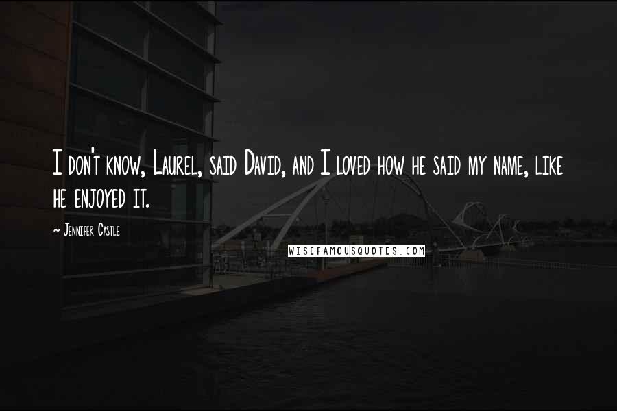 Jennifer Castle Quotes: I don't know, Laurel, said David, and I loved how he said my name, like he enjoyed it.