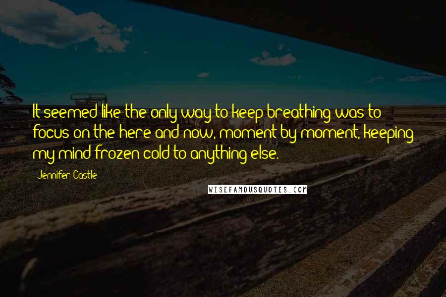 Jennifer Castle Quotes: It seemed like the only way to keep breathing was to focus on the here and now, moment by moment, keeping my mind frozen cold to anything else.