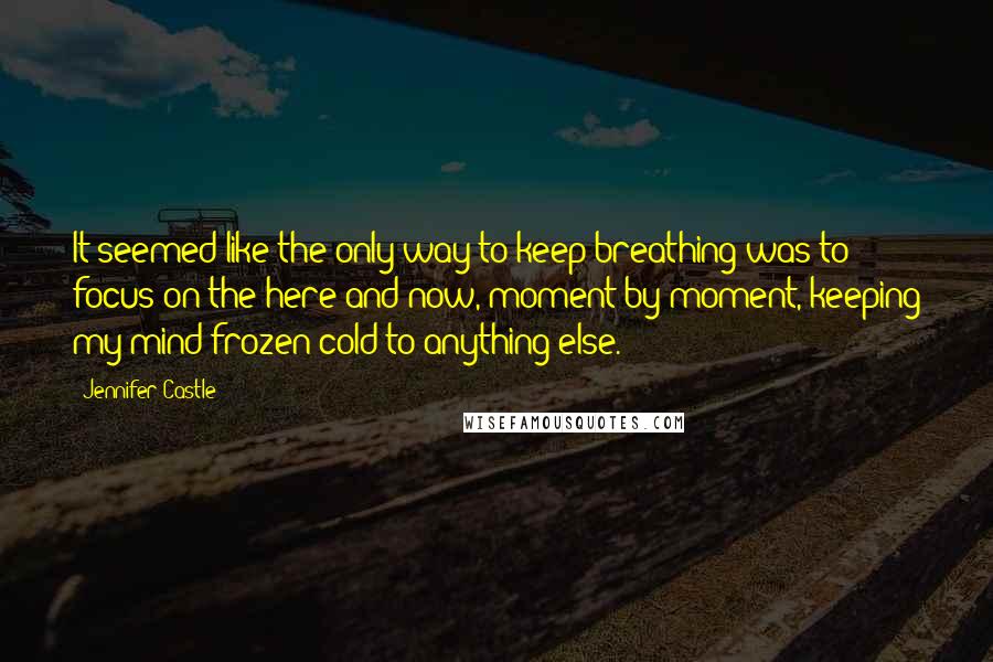 Jennifer Castle Quotes: It seemed like the only way to keep breathing was to focus on the here and now, moment by moment, keeping my mind frozen cold to anything else.