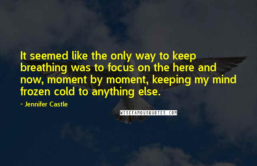 Jennifer Castle Quotes: It seemed like the only way to keep breathing was to focus on the here and now, moment by moment, keeping my mind frozen cold to anything else.