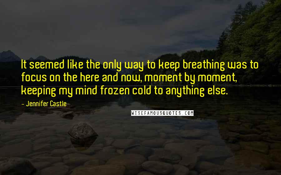 Jennifer Castle Quotes: It seemed like the only way to keep breathing was to focus on the here and now, moment by moment, keeping my mind frozen cold to anything else.