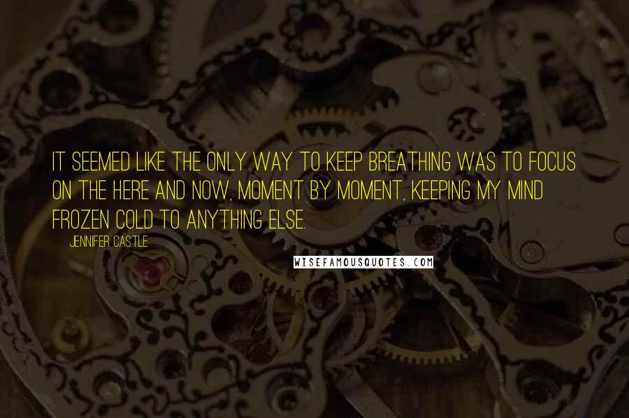 Jennifer Castle Quotes: It seemed like the only way to keep breathing was to focus on the here and now, moment by moment, keeping my mind frozen cold to anything else.