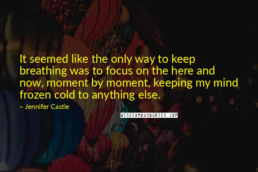 Jennifer Castle Quotes: It seemed like the only way to keep breathing was to focus on the here and now, moment by moment, keeping my mind frozen cold to anything else.