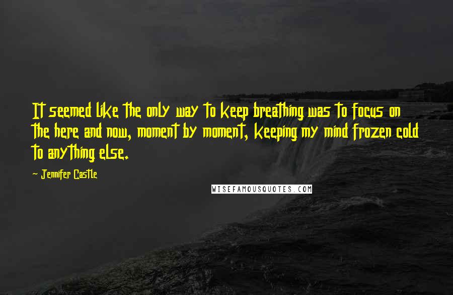 Jennifer Castle Quotes: It seemed like the only way to keep breathing was to focus on the here and now, moment by moment, keeping my mind frozen cold to anything else.