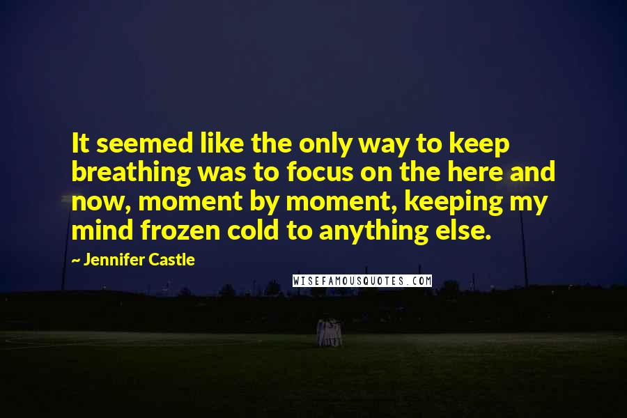 Jennifer Castle Quotes: It seemed like the only way to keep breathing was to focus on the here and now, moment by moment, keeping my mind frozen cold to anything else.