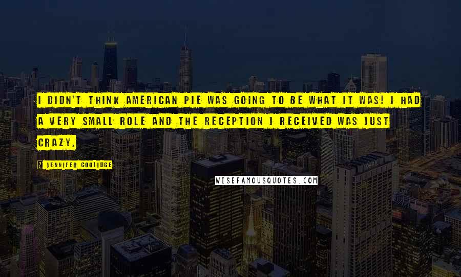 Jennifer Coolidge Quotes: I didn't think American Pie was going to be what it was! I had a very small role and the reception I received was just crazy.