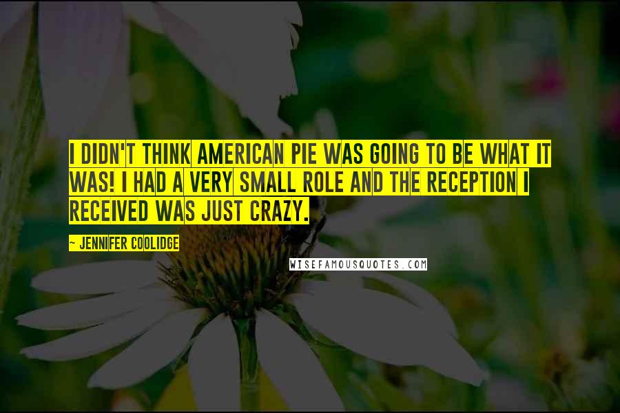 Jennifer Coolidge Quotes: I didn't think American Pie was going to be what it was! I had a very small role and the reception I received was just crazy.