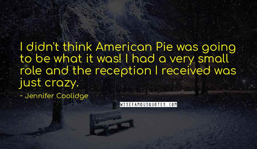 Jennifer Coolidge Quotes: I didn't think American Pie was going to be what it was! I had a very small role and the reception I received was just crazy.