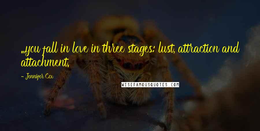 Jennifer Cox Quotes: ...you fall in love in three stages: lust, attraction and attachment.