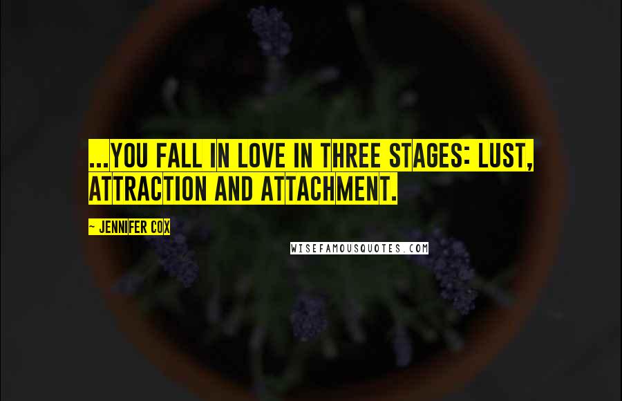 Jennifer Cox Quotes: ...you fall in love in three stages: lust, attraction and attachment.