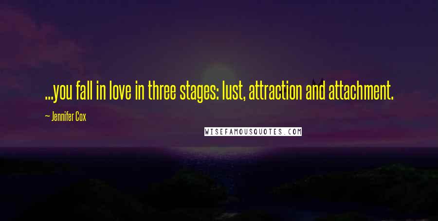 Jennifer Cox Quotes: ...you fall in love in three stages: lust, attraction and attachment.