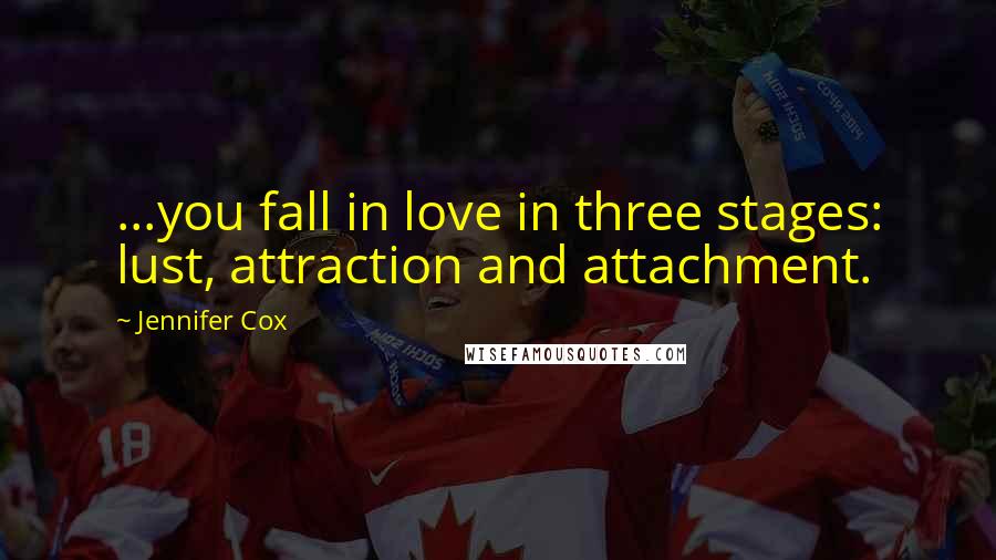 Jennifer Cox Quotes: ...you fall in love in three stages: lust, attraction and attachment.