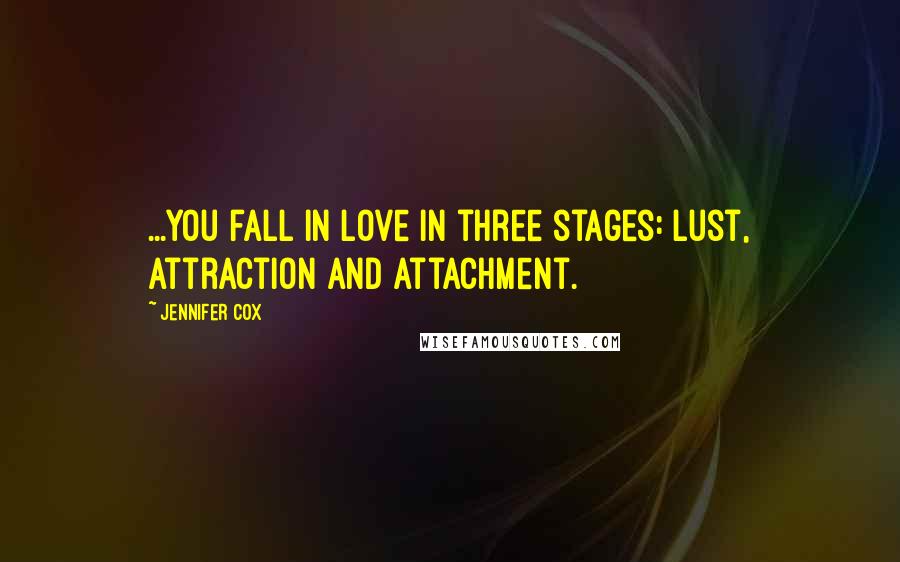 Jennifer Cox Quotes: ...you fall in love in three stages: lust, attraction and attachment.