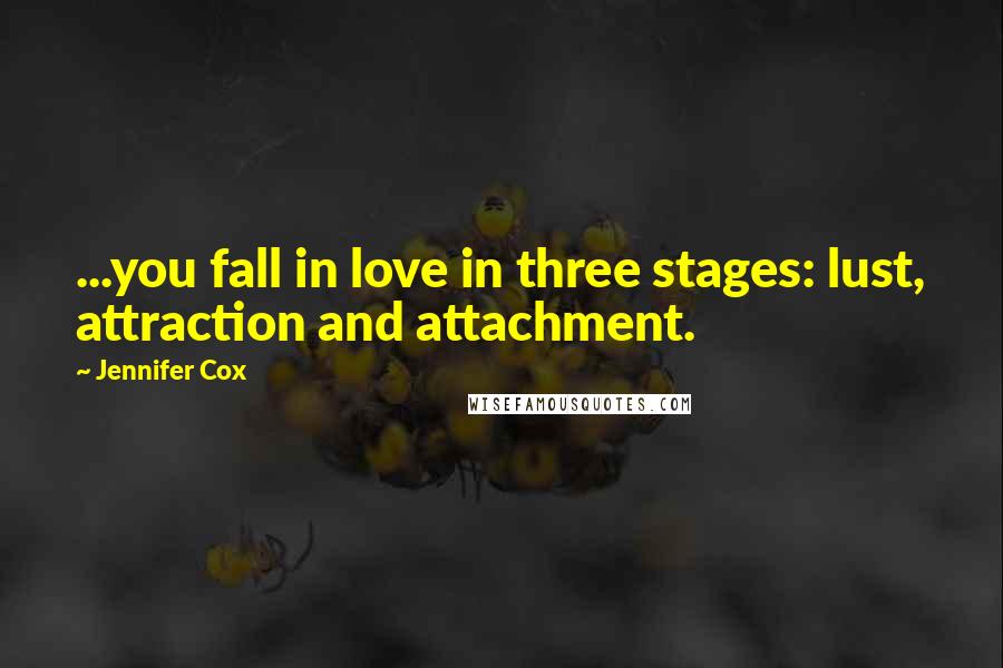 Jennifer Cox Quotes: ...you fall in love in three stages: lust, attraction and attachment.