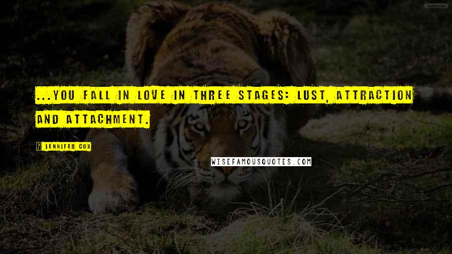 Jennifer Cox Quotes: ...you fall in love in three stages: lust, attraction and attachment.