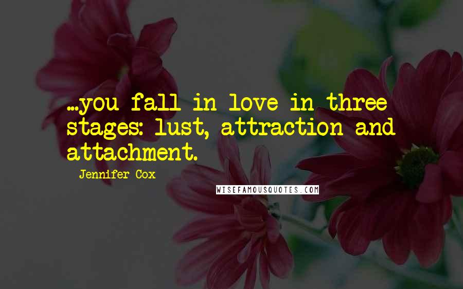 Jennifer Cox Quotes: ...you fall in love in three stages: lust, attraction and attachment.