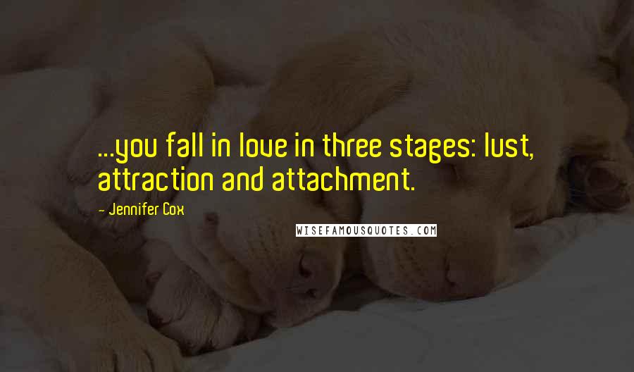 Jennifer Cox Quotes: ...you fall in love in three stages: lust, attraction and attachment.