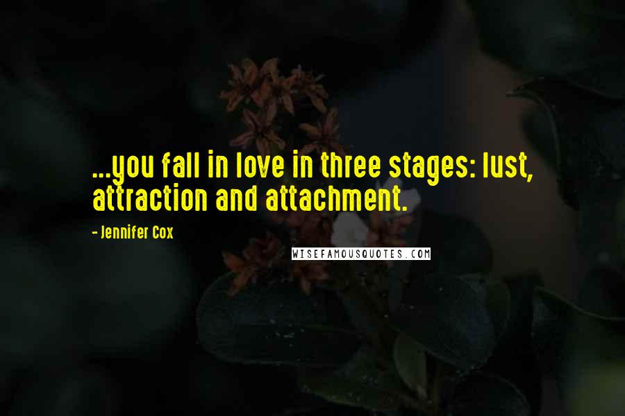 Jennifer Cox Quotes: ...you fall in love in three stages: lust, attraction and attachment.