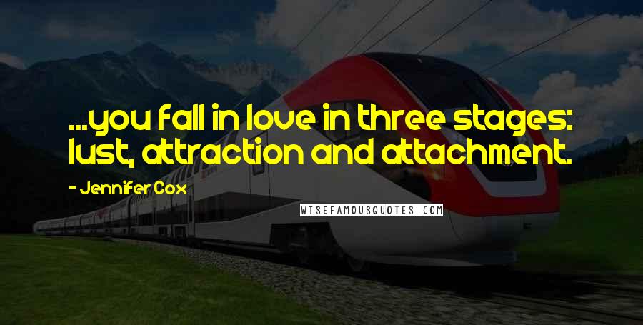 Jennifer Cox Quotes: ...you fall in love in three stages: lust, attraction and attachment.