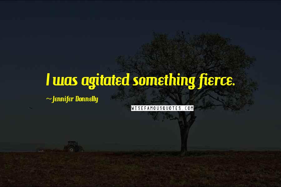 Jennifer Donnelly Quotes: I was agitated something fierce.