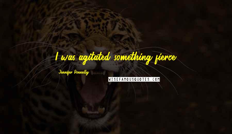 Jennifer Donnelly Quotes: I was agitated something fierce.