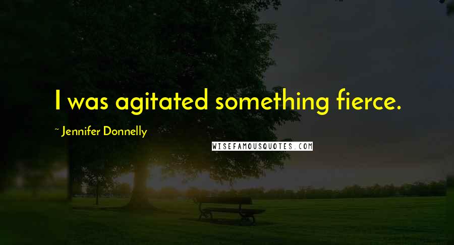 Jennifer Donnelly Quotes: I was agitated something fierce.