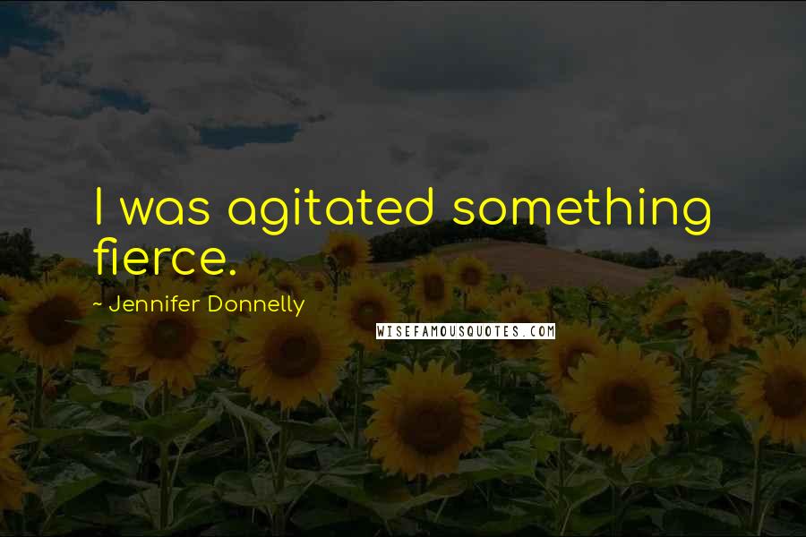 Jennifer Donnelly Quotes: I was agitated something fierce.