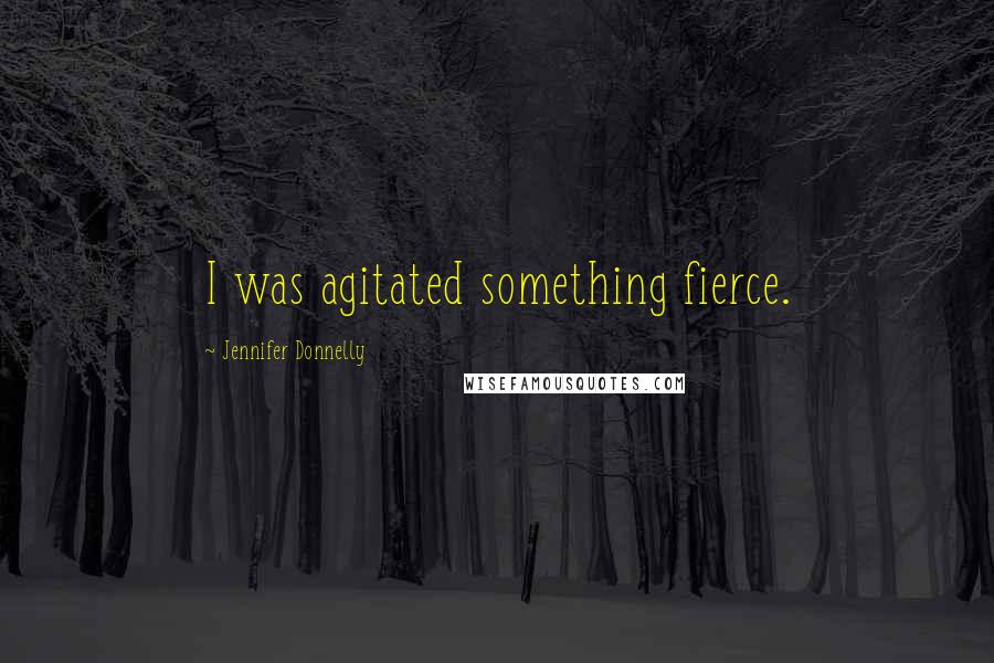 Jennifer Donnelly Quotes: I was agitated something fierce.
