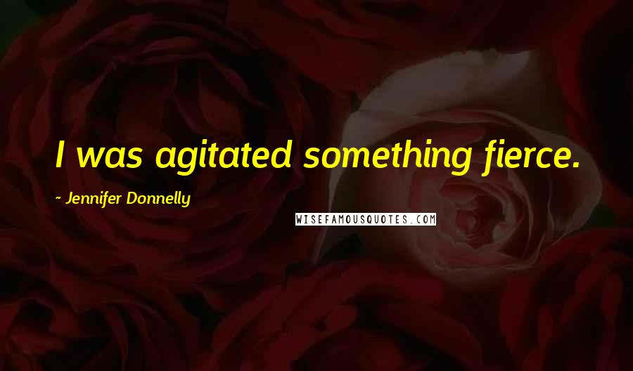 Jennifer Donnelly Quotes: I was agitated something fierce.