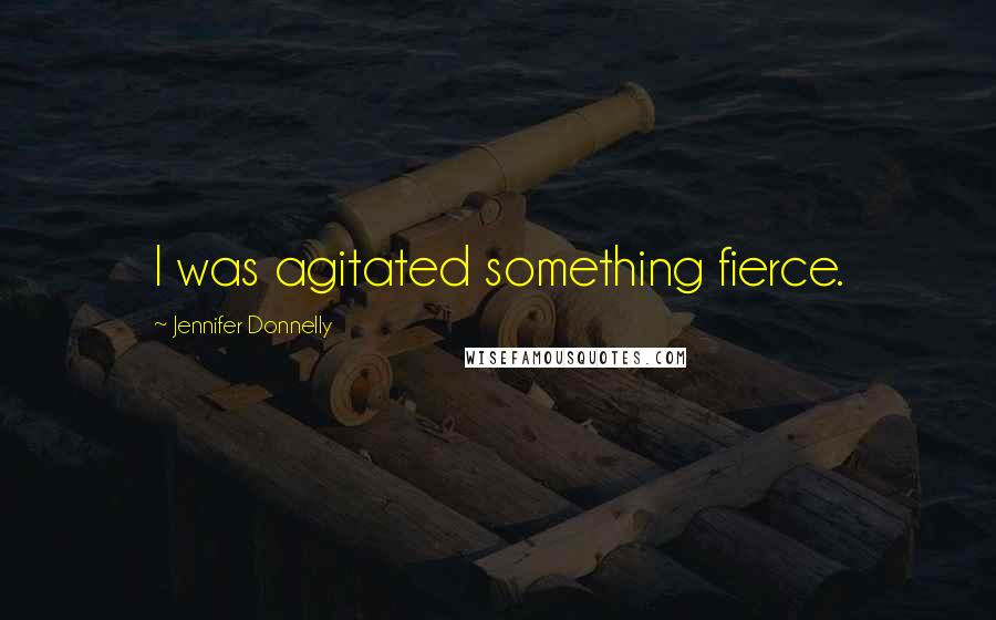 Jennifer Donnelly Quotes: I was agitated something fierce.