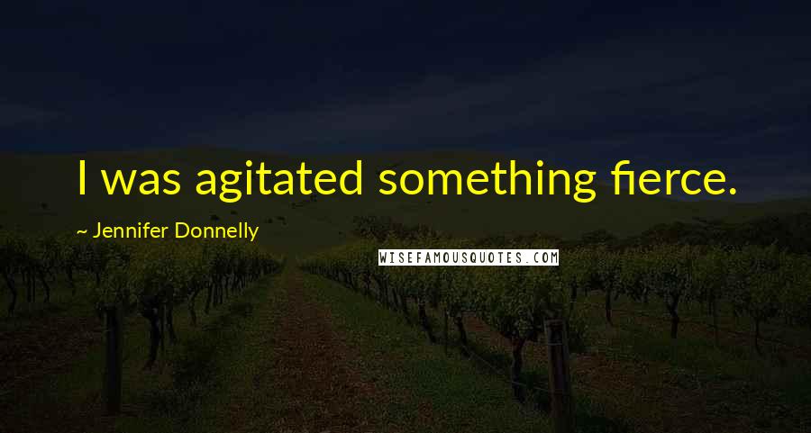 Jennifer Donnelly Quotes: I was agitated something fierce.