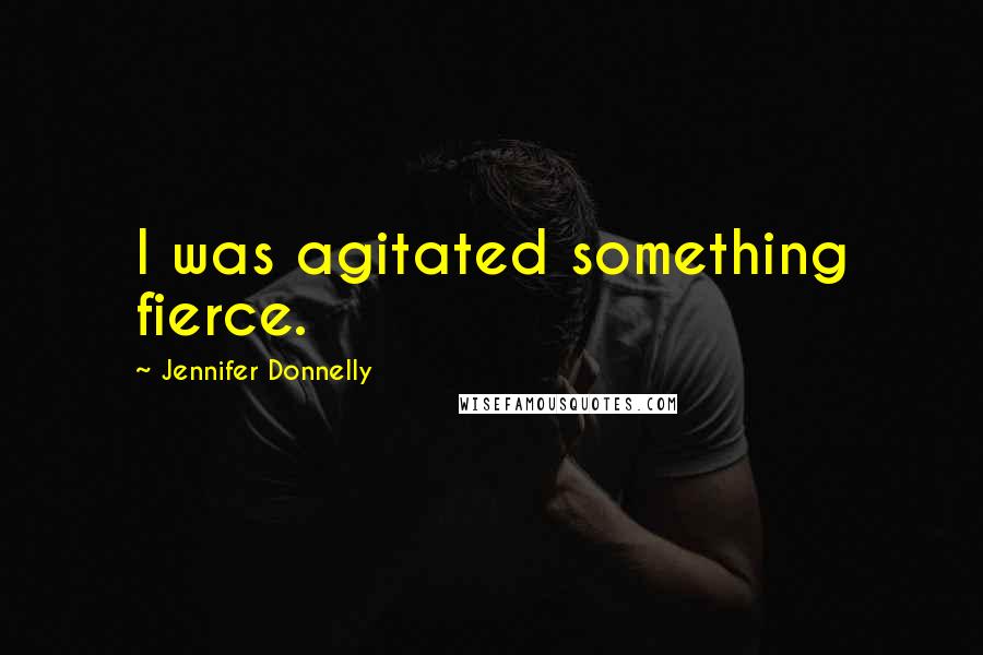 Jennifer Donnelly Quotes: I was agitated something fierce.