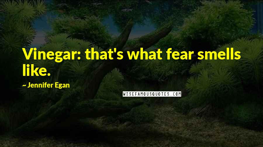 Jennifer Egan Quotes: Vinegar: that's what fear smells like.