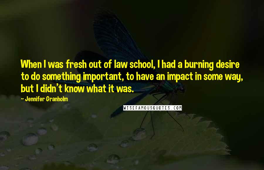 Jennifer Granholm Quotes: When I was fresh out of law school, I had a burning desire to do something important, to have an impact in some way, but I didn't know what it was.