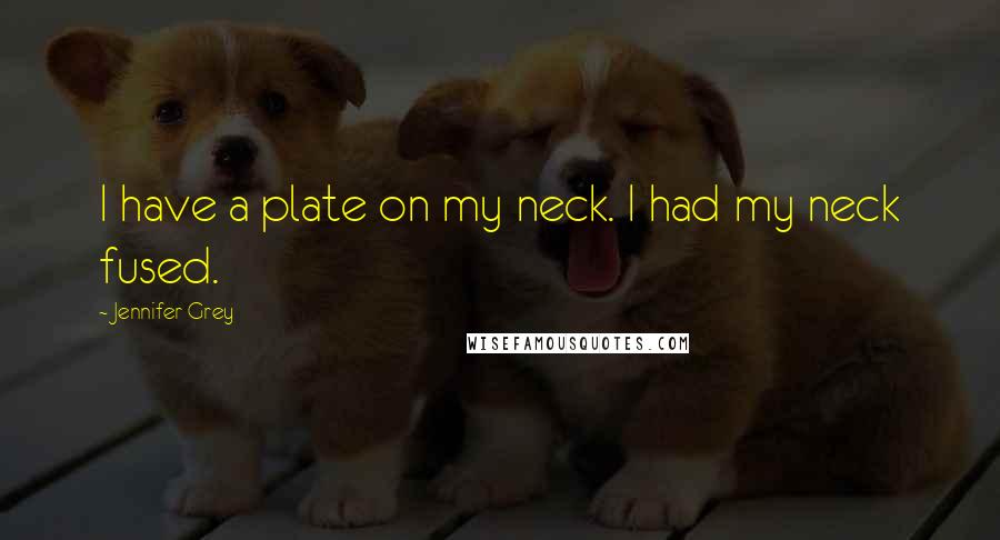 Jennifer Grey Quotes: I have a plate on my neck. I had my neck fused.