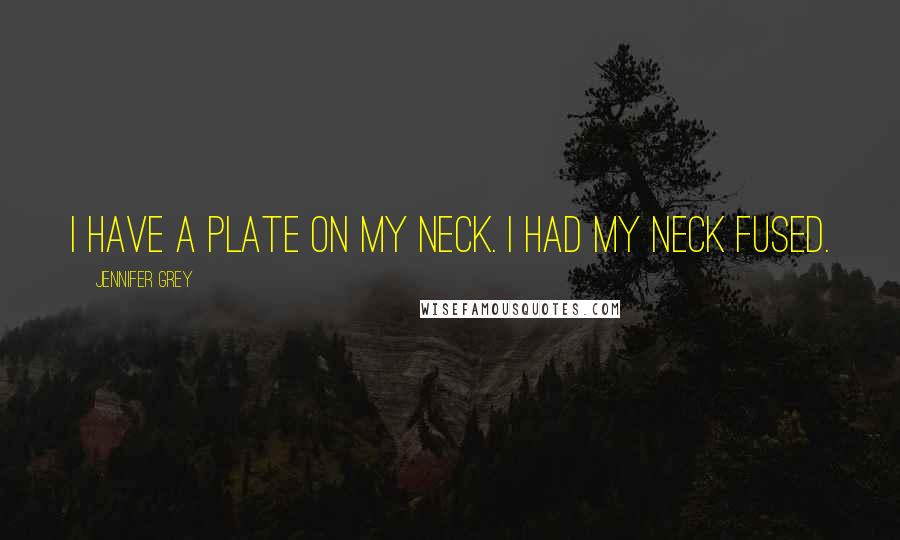 Jennifer Grey Quotes: I have a plate on my neck. I had my neck fused.