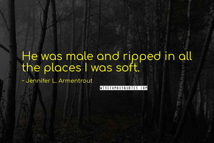 Jennifer L. Armentrout Quotes: He was male and ripped in all the places I was soft.