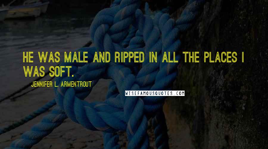 Jennifer L. Armentrout Quotes: He was male and ripped in all the places I was soft.
